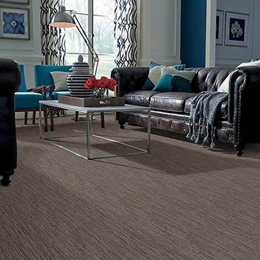 Anso® Nylon Carpet | Siler City, NC