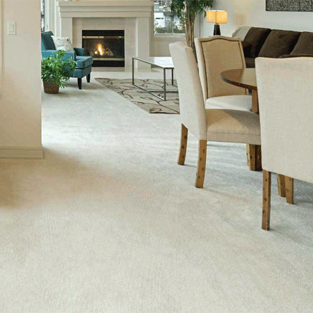 Masland carpet